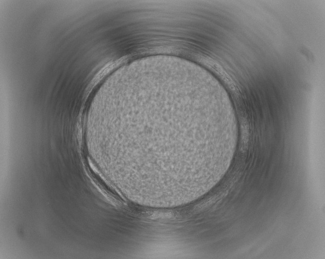 X0000115370890200912151416