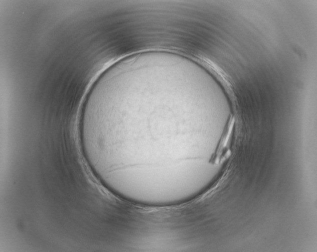 X0000115370892200912151416