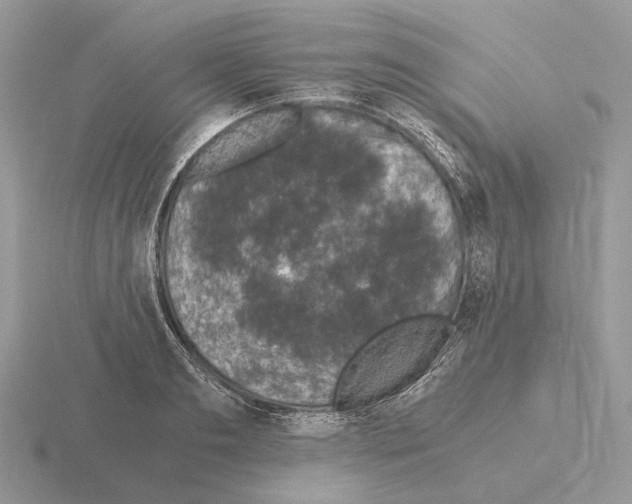 X0000115370893200912151416