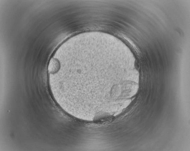 X0000115370894200912151416