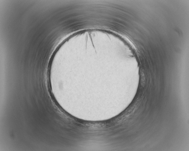 X0000115370895200912151416