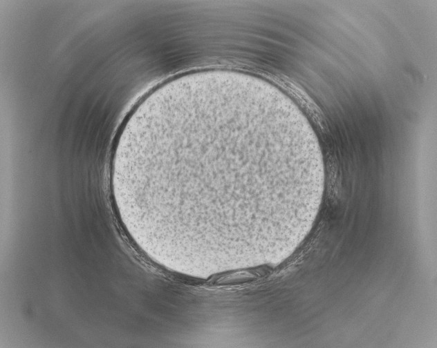 X0000115370896200912151416