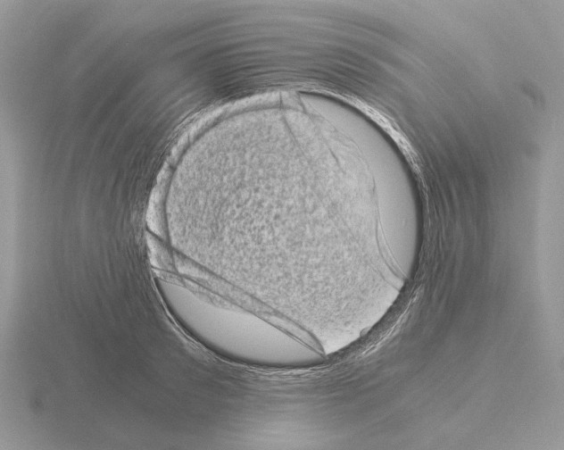 X0000115370897200912151416