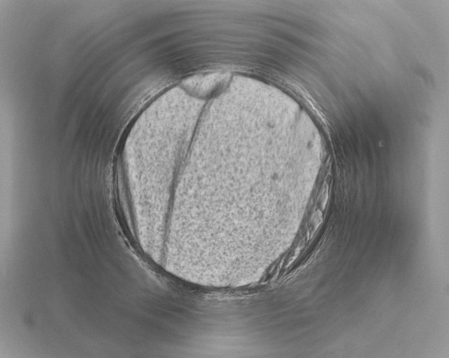 X0000115370898200912151416