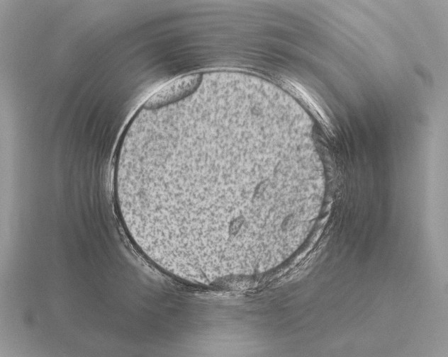 X0000115370900200912151416