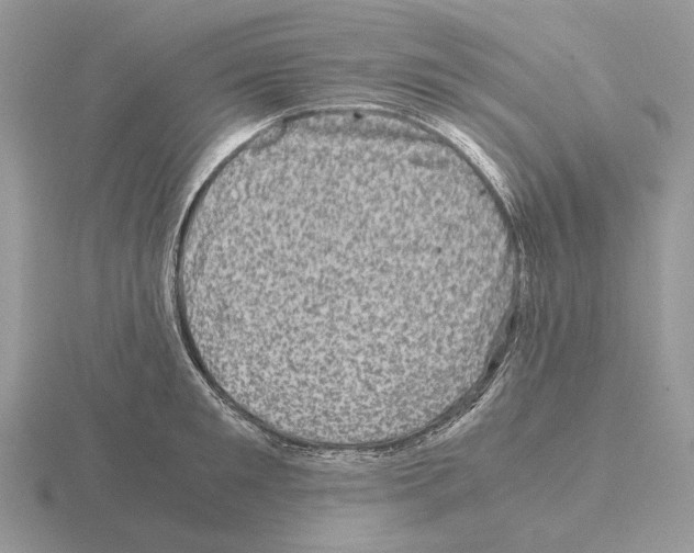 X0000115370901200912151416