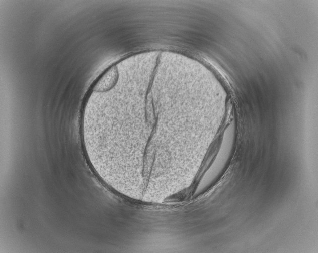 X0000115370902200912151416