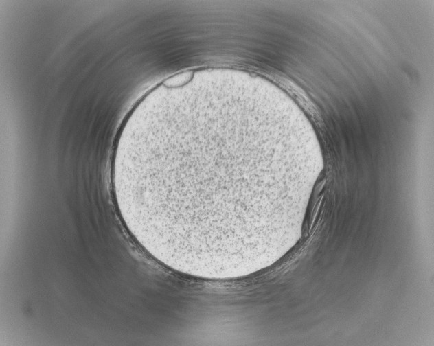 X0000115370904200912151416