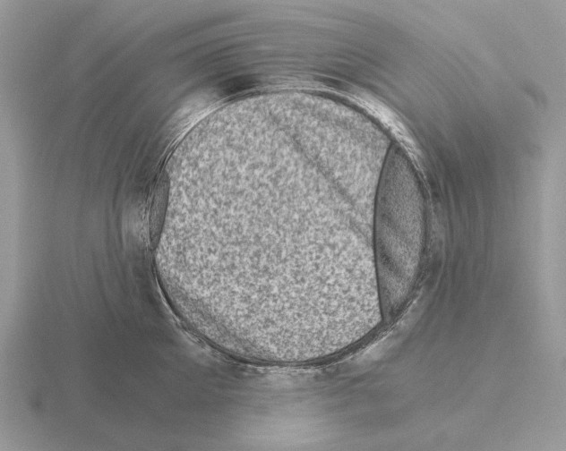 X0000115370905200912151416