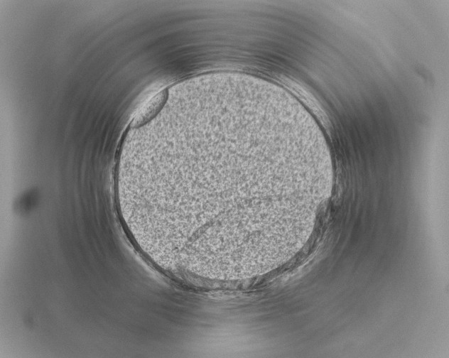 X0000115370906200912151416