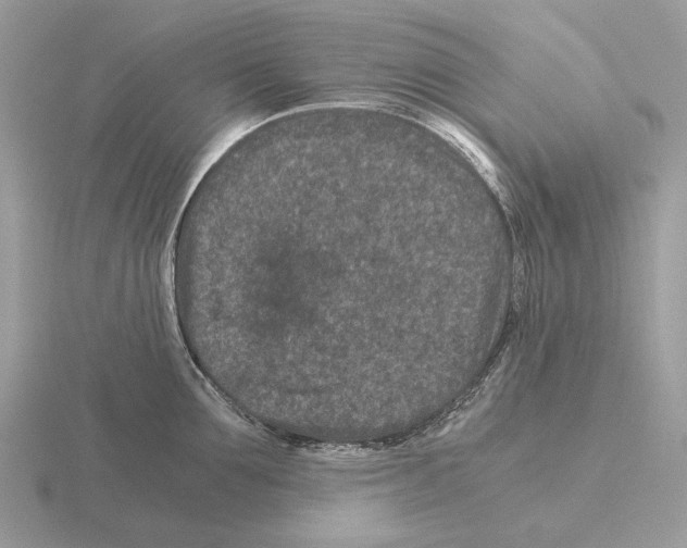 X0000115370907200912151416