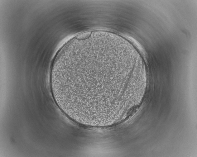 X0000115370910200912151416