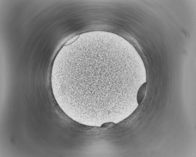 X0000115370912200912151416