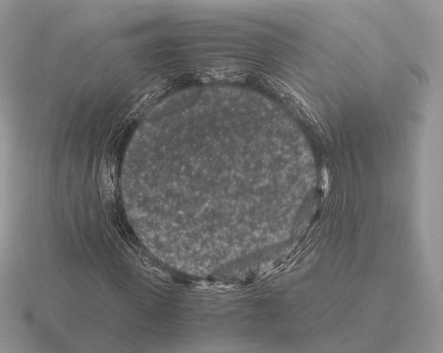 X0000115370915200912151416