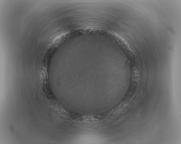 X0000115370918200912151416