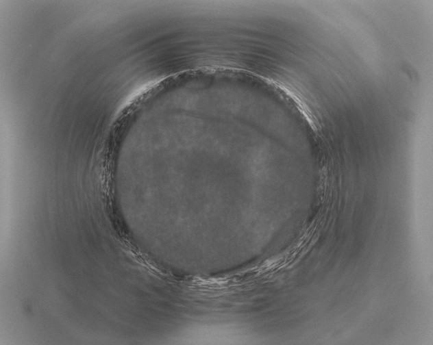 X0000115370919200912151416