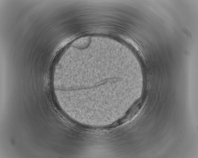 X0000115370922200912151416