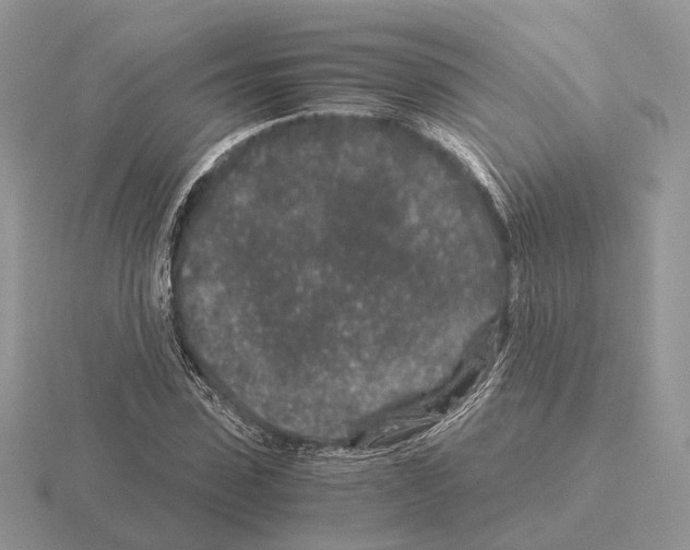 X0000115370923200912151416