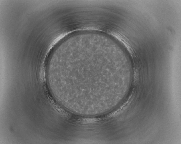 X0000115370925200912151416