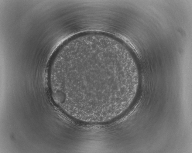 X0000115370926200912151416