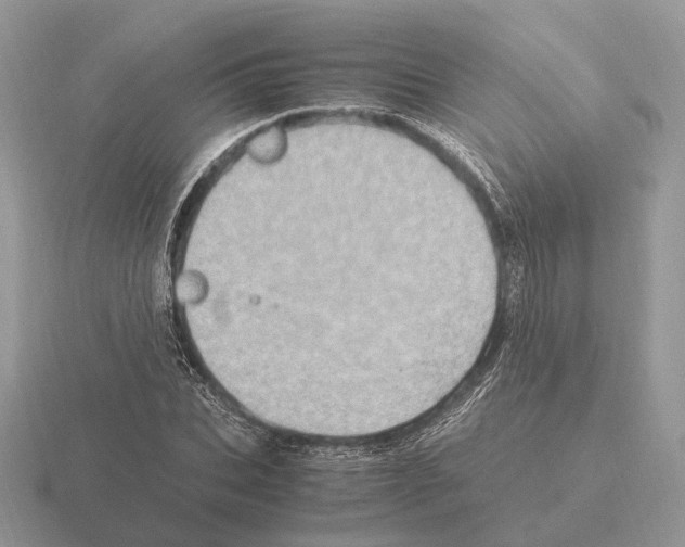 X0000115370927200912151416