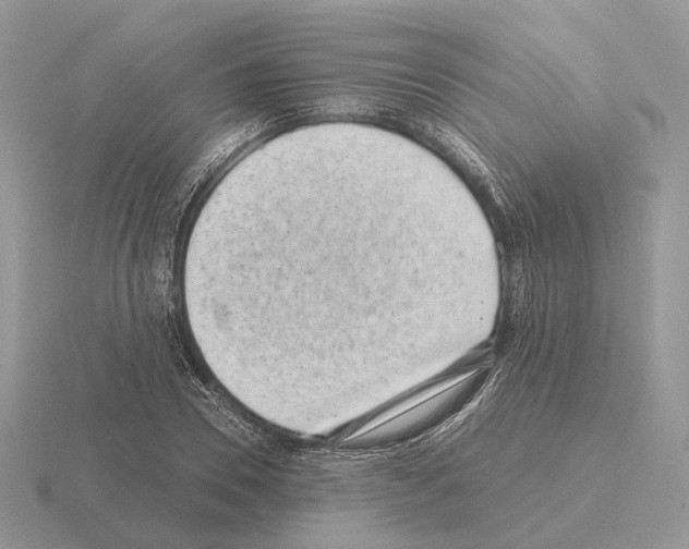 X0000115370930200912151416