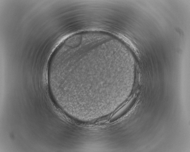 X0000115370934200912151416