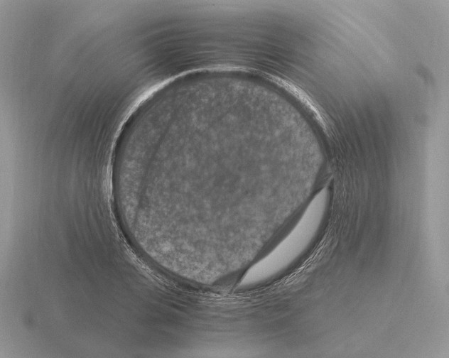 X0000115370935200912151416