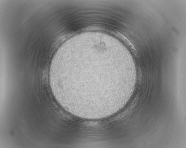 X0000115370937200912151416