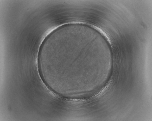 X0000115370943200912151416