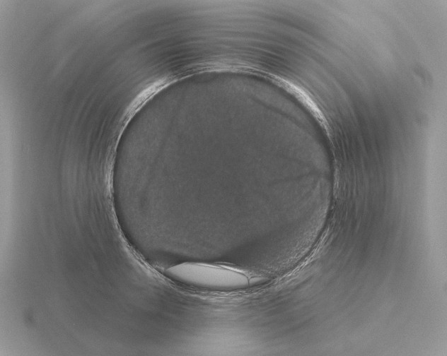 X0000115370946200912151416