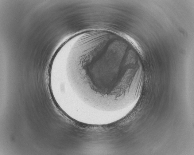 X0000115370950200912151416