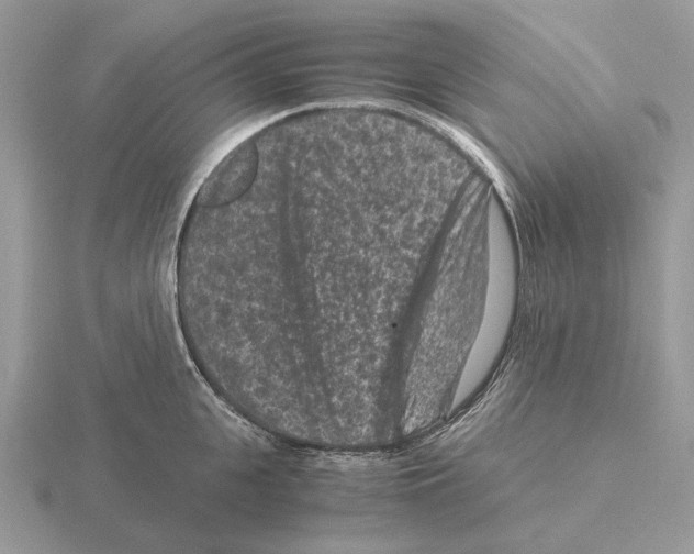 X0000115370951200912151416