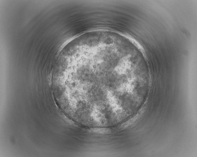 X0000115370953200912151416