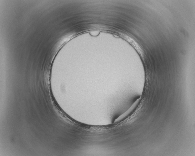 X0000115370954200912151416