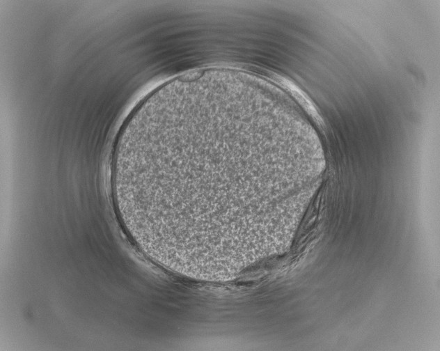 X0000115370955200912151416