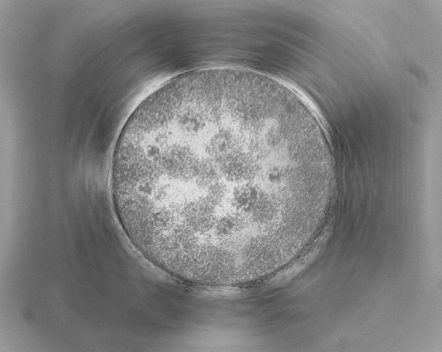 X0000115370957200912151416