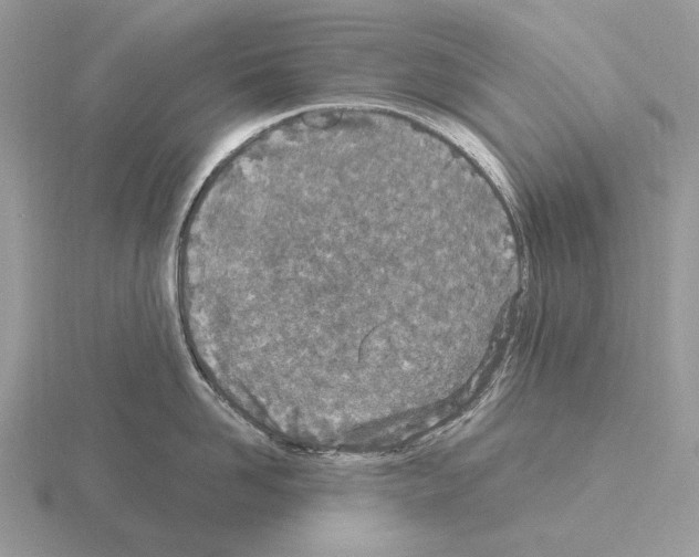 X0000115370958200912151416