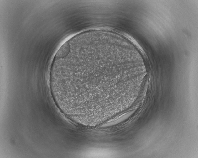 X0000115370959200912151416