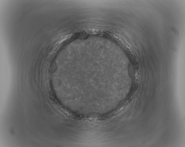 X0000115370961200912151415