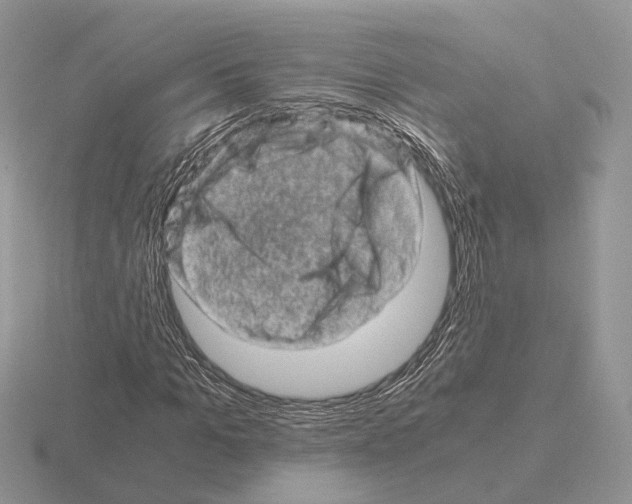 X0000115370965200912151415