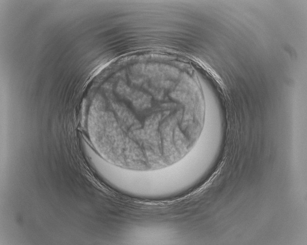 X0000115370969200912151415