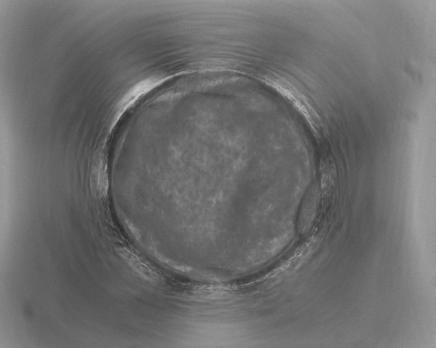 X0000115370973200912151415