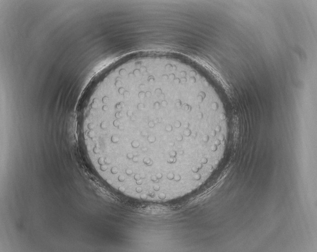 X0000115370974200912151415