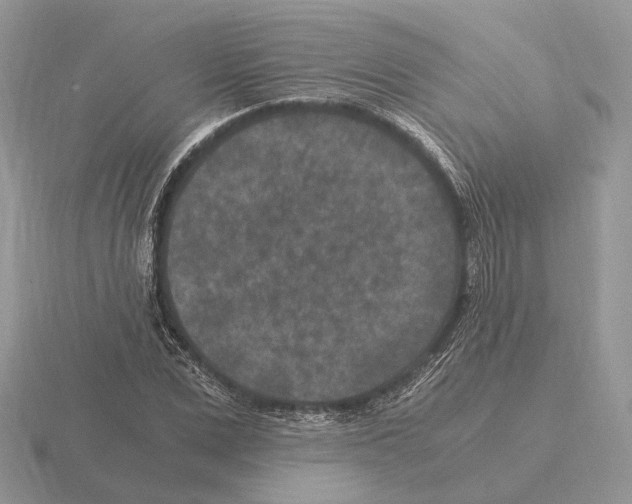 X0000115370975200912151415