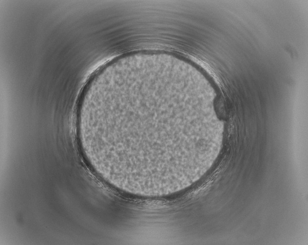 X0000115370979200912151415