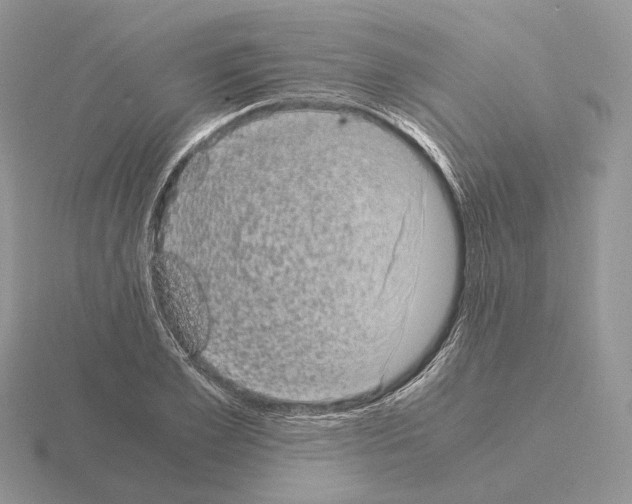 X0000115370981200912151415