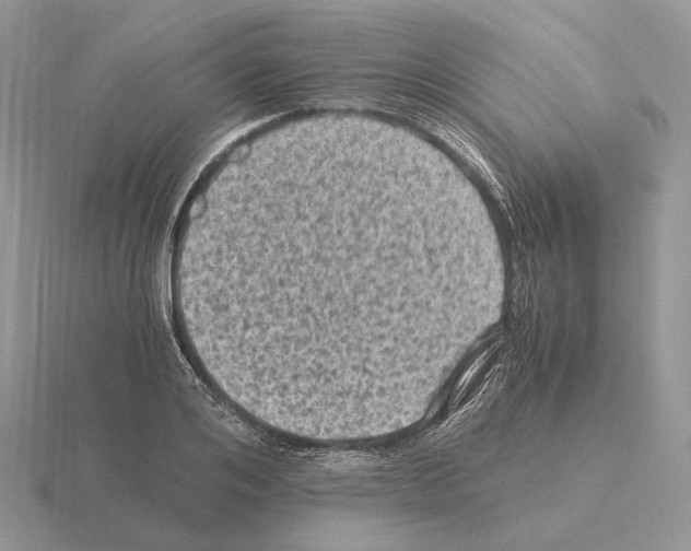 X0000115370984200912151415