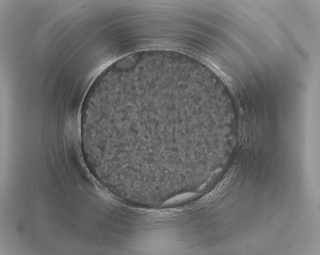 X0000115370988200912151415