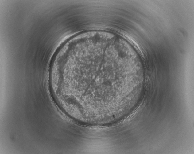 X0000115370992200912151415